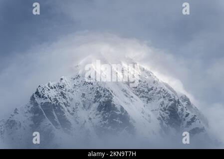 Pumori montagna da Kalapathaar, Nepal Foto Stock