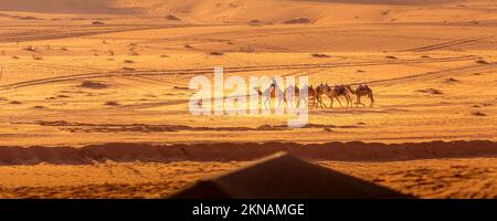 Giordania, Wadi Rum - 2 novembre 2022: Carovana di cammelli con scorie nel deserto, montagne rocciose al tramonto Foto Stock