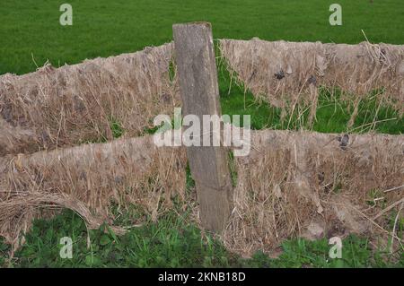 Dopo l'alluvione sul fiume Reno nella riserva naturale Urdenbacher Kaempe, vecchia pianura del Reno, Duesseldorf-Urdenbach, Germania Foto Stock