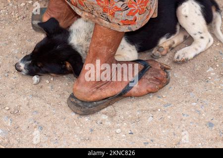 Il cucciolo si trova tra i piedi di una vecchia donna birmana con unghie brune molto lunghe, Mandalay, Myanmar, Birmania, Asia sudorientale Foto Stock