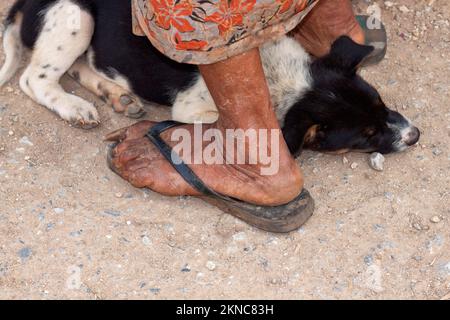 Il cucciolo si trova tra i piedi di una vecchia donna birmana con unghie brune molto lunghe, Mandalay, Myanmar, Birmania, Asia sudorientale Foto Stock