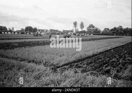 Ploughing Match, 16th ottobre 2022, Hattingley, Medstead, Alton, Hampshire, Inghilterra, Regno Unito. Foto Stock