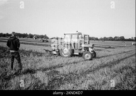 Ploughing Match, 16th ottobre 2022, Hattingley, Medstead, Alton, Hampshire, Inghilterra, Regno Unito. Foto Stock