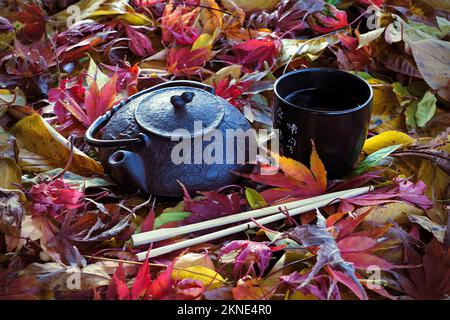 Testubin e foglie autunnali (stile giapponese) Foto Stock