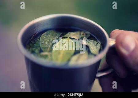 Primo piano di una tazza di tè coca caldo (mate de coca) Foto Stock