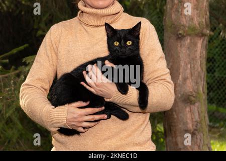 Donna che tiene gatto nero Foto Stock