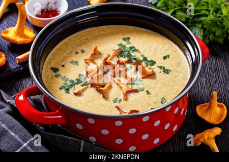 Kanttarellikitto, zuppa finlandese di Chanterelle in pentola rossa su tavola di legno scuro con funghi freschi Chanterelle sullo sfondo, vista orizzontale dall'alto Foto Stock