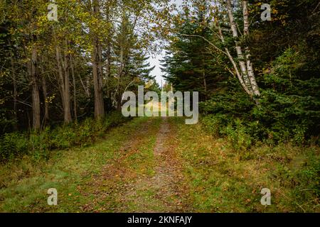 Garrison Road, isola di mcnabs, Halifax, Nuova Scozia, Canada Foto Stock
