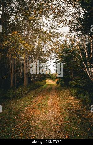 Garrison Road, isola di mcnabs, Halifax, Nuova Scozia, Canada Foto Stock