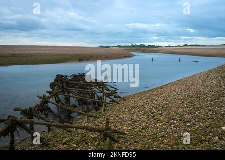 Pali arrugginiti a Pagham Harbour, West Sussex, UK Foto Stock