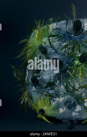 Congelati bellissimi fiori di Eryngium alipinum. Fiori freschi congelati con bolle d'aria nel cubo di ghiaccio su sfondo blu. Fiori nel cubo di ghiaccio. Foto Stock