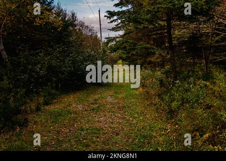 estremità sud di Garrison Road sull'isola di Mcnabs halifax nova scotia canada Foto Stock