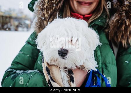 Cura degli animali domestici nella stagione fredda invernale. Donna che scalda il cane maltese nella giacca. Donna senza volto e carino cane a piedi, divertirsi all'aperto in inverno nevoso Foto Stock