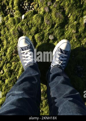 Il punto di vista della persona che guarda giù sulle loro scarpe mentre si trova su una roccia coperta di muschio e alghe marine Foto Stock