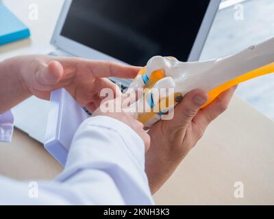 Il modello dei legamenti del ginocchio che tiene e punta dalle mani del medico, consigliante dallo specialista maschio adulto al medico giovane femminile vicino al laptop. Due medici t Foto Stock