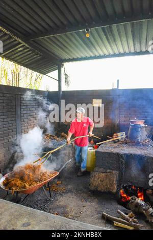 Dopo il primo processo di distillazione dei cuori di agave schiacciati, la purea calda viene rimossa manualmente , distilleria artigianale Mezcal , Oaxaca Mexico Foto Stock