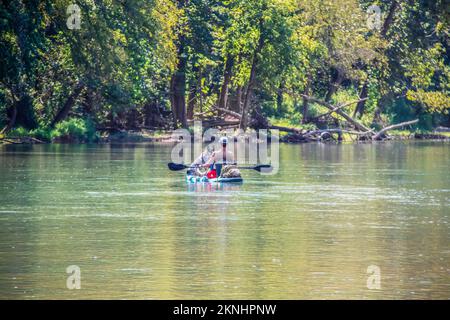 Uomo e cane blu pagaia galleggiante-paddling fiume insieme su paddleboard con foresta bokeh in background - scena tranquilla Foto Stock
