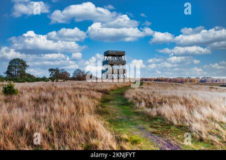 Torre panoramica accessibile al pubblico a Het Aekingerzand, parte del parco nazionale Drents-Friese Wold con vista sulle dune di sabbia chiamate Kale Duinen Foto Stock