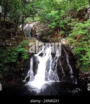 Rhaeadr DDU e Coed Ganllwyd Walk - National Trust Foto Stock