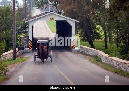 Un cavallo Amish e un buggy emergono da un ponte coperto Foto Stock