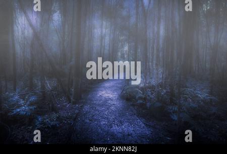 Oscuro paesaggio horror di una oscura foresta al crepuscolo con un percorso che conduce attraverso le coperture della nebbia misteriosa. Catturato Nelson Falls Nature Walk, Tasmania, Au Foto Stock