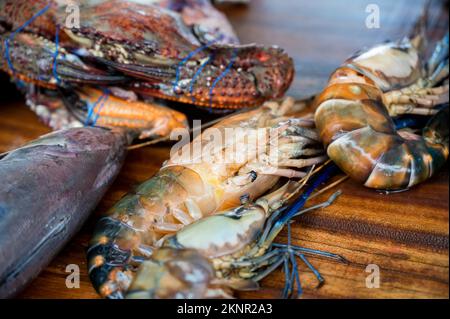 Gamberetti grandi o gamberetti di acqua dolce cruda Foto Stock