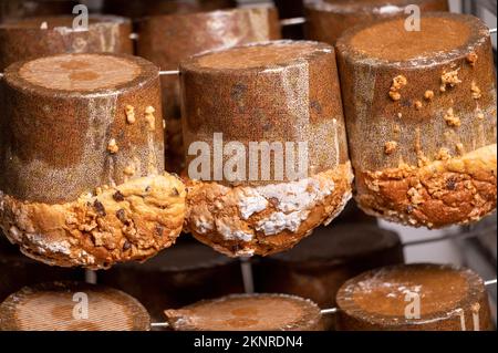 Panettone appeso per finire la preparazione del forno. Dolci natalizi italiani. Fotografia di alta qualità. Foto Stock