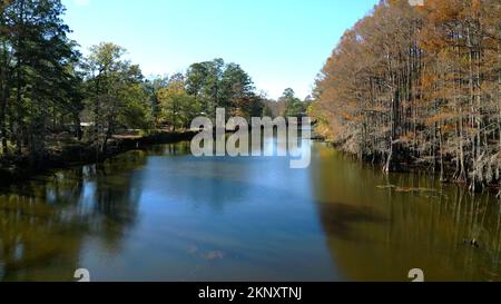 Big Cypress Bayou River al Caddo Lake state Park - CADDO LAKE, STATI UNITI d'AMERICA - 04 NOVEMBRE 2022 Foto Stock