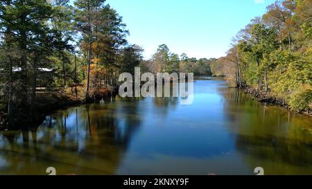 Big Cypress Bayou River al Caddo Lake state Park - CADDO LAKE, STATI UNITI d'AMERICA - 04 NOVEMBRE 2022 Foto Stock