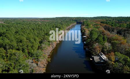 Big Cypress Bayou River al Caddo Lake state Park Foto Stock