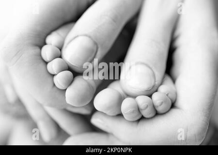 Gambe, dita dei piedi, piedi e talloni del neonato con le mani della madre tiene delicatamente le gambe Foto Stock