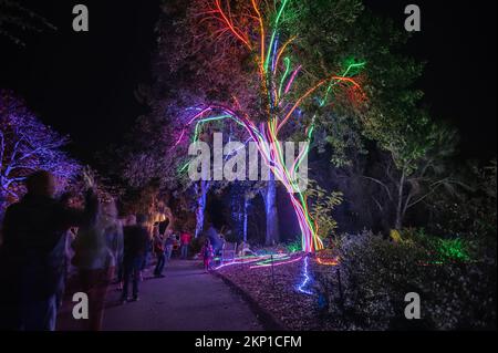 Spettacolo di luci natalizie del giardino botanico di San Diego prodotto da WAD Entertainment e Sony Music Foto Stock