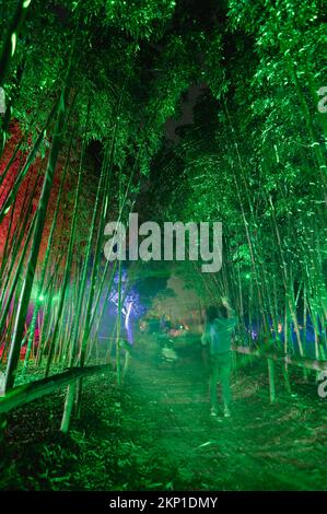 San Diego Botanic Garden festa spettacolo di luci Foto Stock