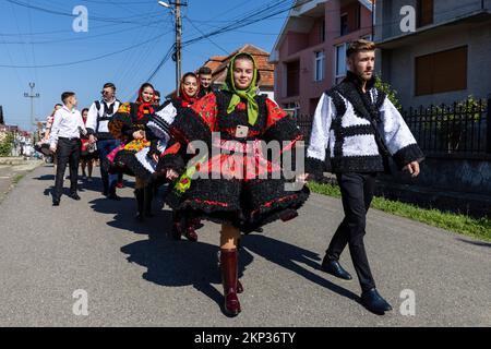 Tradizionale processione di nozze attraverso il villaggio di Certeze, Satu Mare, Romania Foto Stock