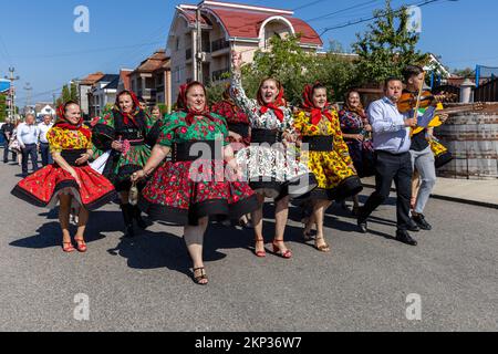 Tradizionale processione di nozze attraverso il villaggio di Certeze, Satu Mare, Romania Foto Stock