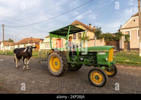 Viscri, incantevole villaggio sassone in Transilvania, Romania Foto Stock