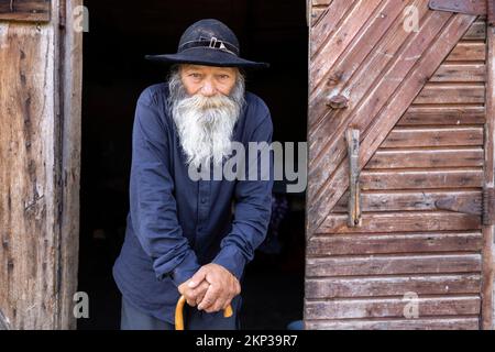 Rom Zingari nel villaggio di Brateiu, Transilvania, Romania Foto Stock