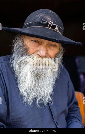 Rom Zingari nel villaggio di Brateiu, Transilvania, Romania Foto Stock