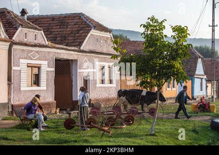 Viscri, incantevole villaggio sassone in Transilvania, Romania Foto Stock