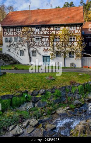 Casa a graticcio con alberi di spalier, Neumühle vicino Altusried, Allgäu, Baviera, Germania, Europa Foto Stock