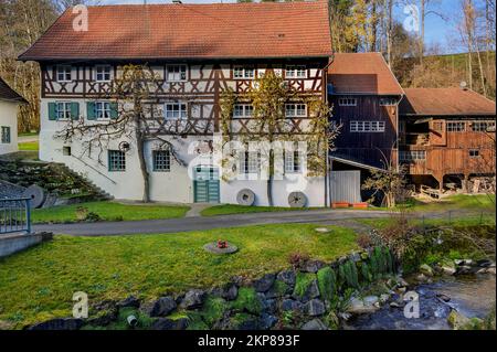 Casa a graticcio con alberi di spalier, Neumühle vicino Altusried, Allgäu, Baviera, Germania, Europa Foto Stock