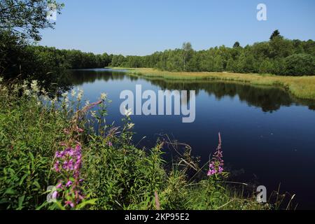 Paesaggio con lago di palude, palude rossa, palude rialzata, riserva della biosfera, UNESCO, Bassa catena montuosa, Assia, Rhön, Germania, Europa Foto Stock