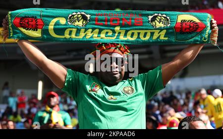 Al Wukair, Qatar. 28th Nov 2022. Tifoso del Camerun durante la partita di Coppa del mondo FIFA 2022 allo stadio al Janoub, al Wukair. Il credito per le immagini dovrebbe essere: David Klein/Sportimage Credit: Sportimage/Alamy Live News/Alamy Live News Foto Stock