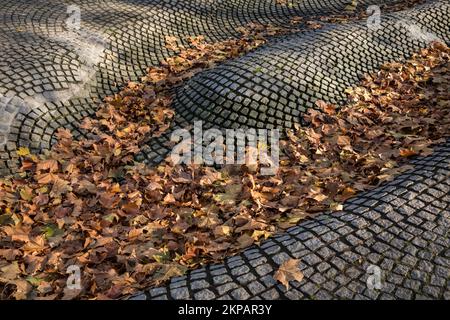 Le foglie autunnali si trovano nella fontana di Paolozzi, nel centro storico di Colonia, in Germania. Herbstlaub liegt im Paolozzibrunnen in der Koelner Altstadt, Koeln, Deu Foto Stock