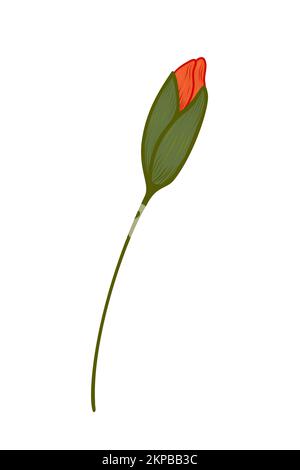 Papavero rosso, illustrazione del doodle del vettore. Ramo papavero. Clipart. I fiori sono disegnati a mano. Design per cartoline, composizioni e adesivi Illustrazione Vettoriale