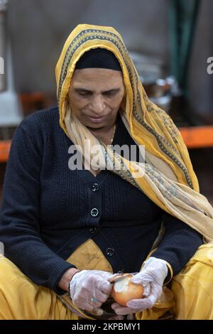 Una donna sikh che peeling & taglio cipolle nel suo tempio langar, una cucina vegetariana gratuita comune a Richmond Hil, Queens, New York City. Foto Stock