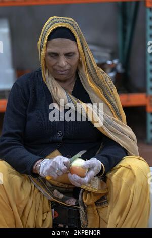 Una donna sikh che peeling & taglio cipolle nel suo tempio langar, una cucina vegetariana gratuita comune a Richmond Hil, Queens, New York City. Foto Stock