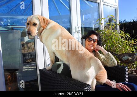 Attraente femmina matura seduta su un patio con il suo animale domestico giallo labrador Retriever - John Gollop Foto Stock