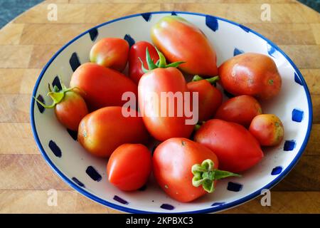 Pomodori prugniti appena raccolti - John Gollop Foto Stock