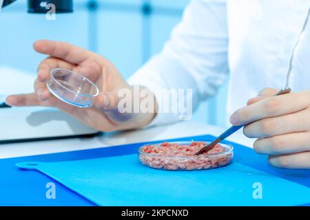 laboratorio di ispezione della qualità alimentare giovane donna che esamina il campione di carne macinata in capsule di petri Foto Stock